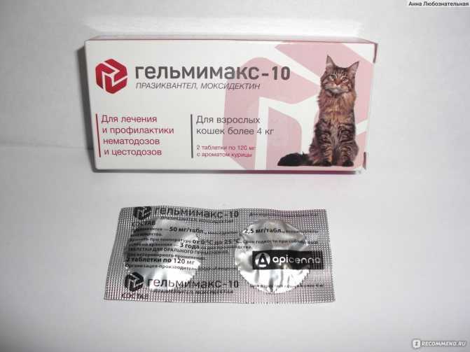 Каниквантел для кошек — препарат от глистов (когда нужно давать и сколько): инструкция по применению