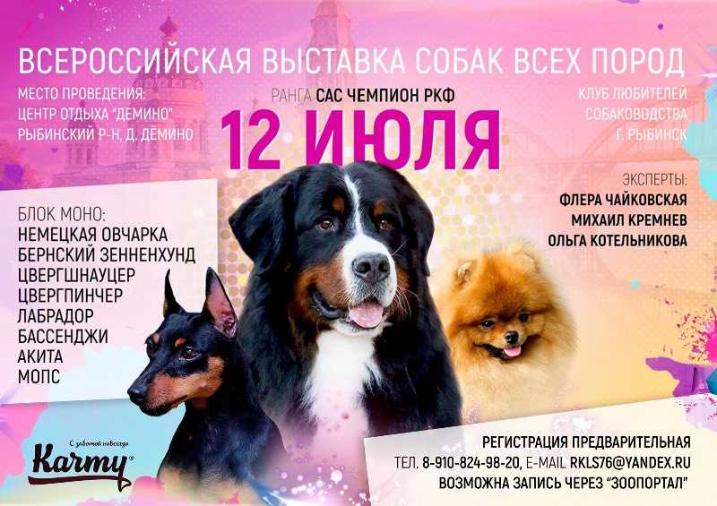 Zooпортал.pro :: выставка собак всех пород ранга сас г. москва
