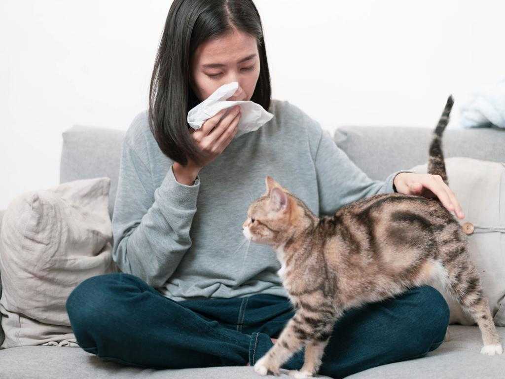 Какую кошку или собаку завести аллергику?