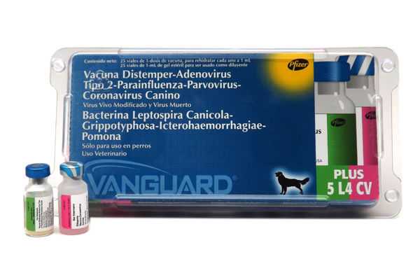 Вангард 5/l назначают щенкам и взрослым собакам в целях специфической профилактики чумы плотоядных и инфекционного гепатита, аденовироза, парагриппа, парвовирусного энтерита и лептоспироза
