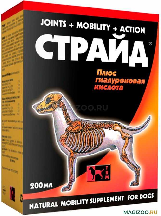 6 лучших хондропротекторов для собак: для собак крупных пород, лекарства для суставов - kotiko.ru