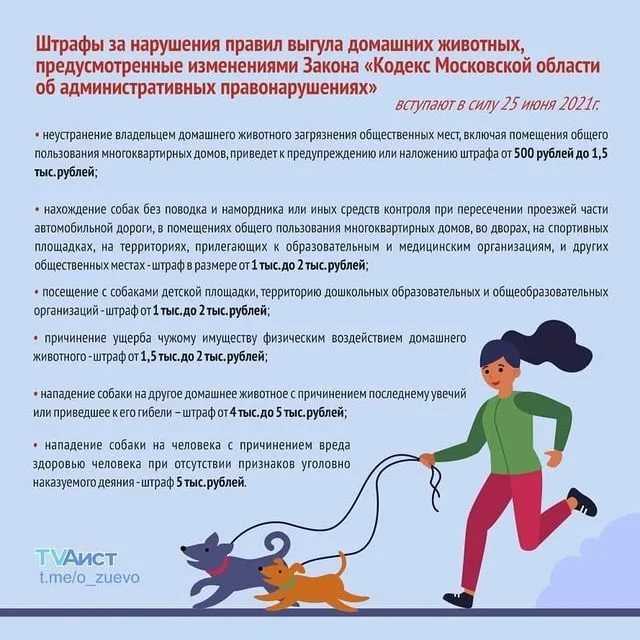 Закон о выгуле собак в россии 2020: основные положения, комментарии юриста