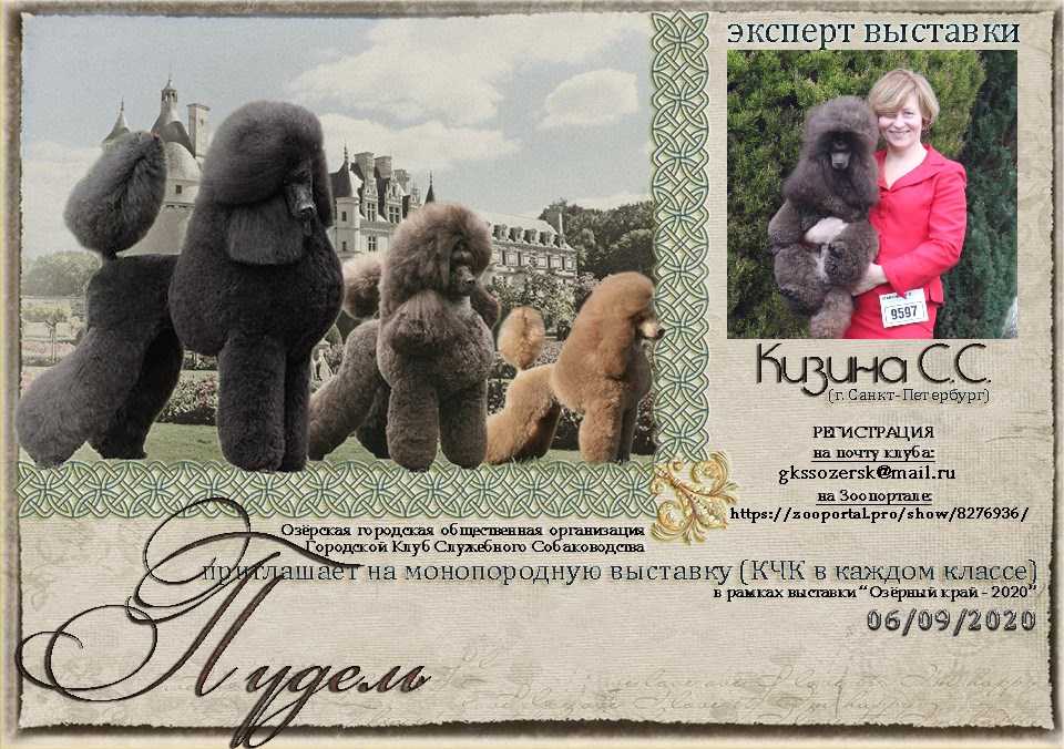 Zooпортал.pro :: выставка собак всех пород ранга сас чф г. москва