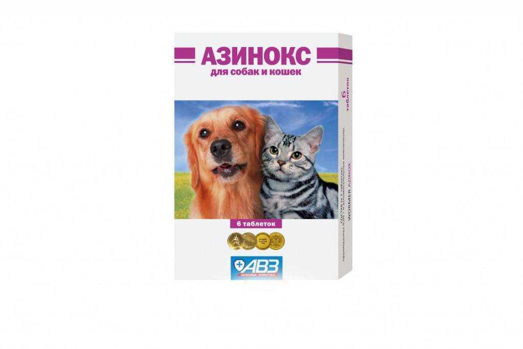 Азинокс плюс для собак – надежная защита от глистов