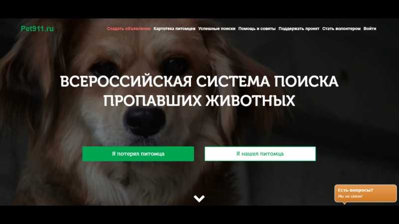 Petrieve - бесплатный сервис поиска пропавших и найденных кошек, собак и других домашних животных