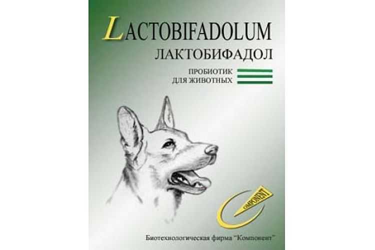Лактобифадол для собак: инструкция по применению, основные свойства и особенности