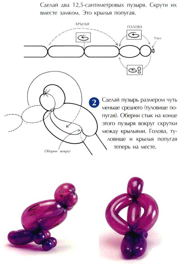 ᐉ животные из шара схема. цветы и собаки из воздушных шаров. как сделать собачку из шарика - master-servise777.ru