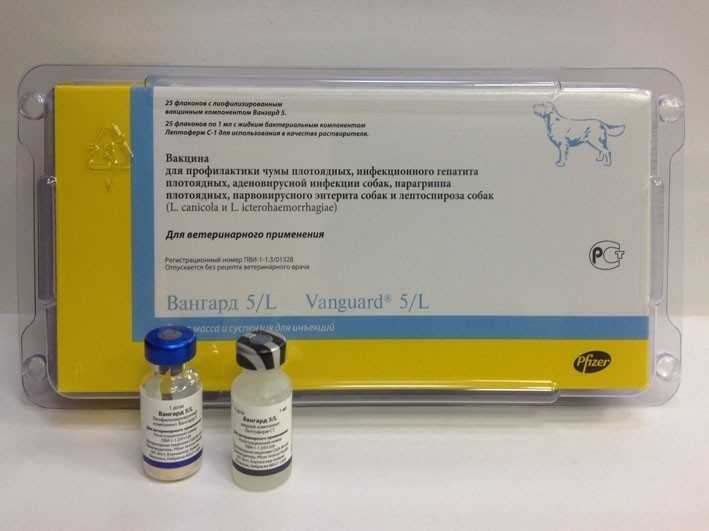 Вакцина для собак и щенков вангард 7, 2-ух компонентная