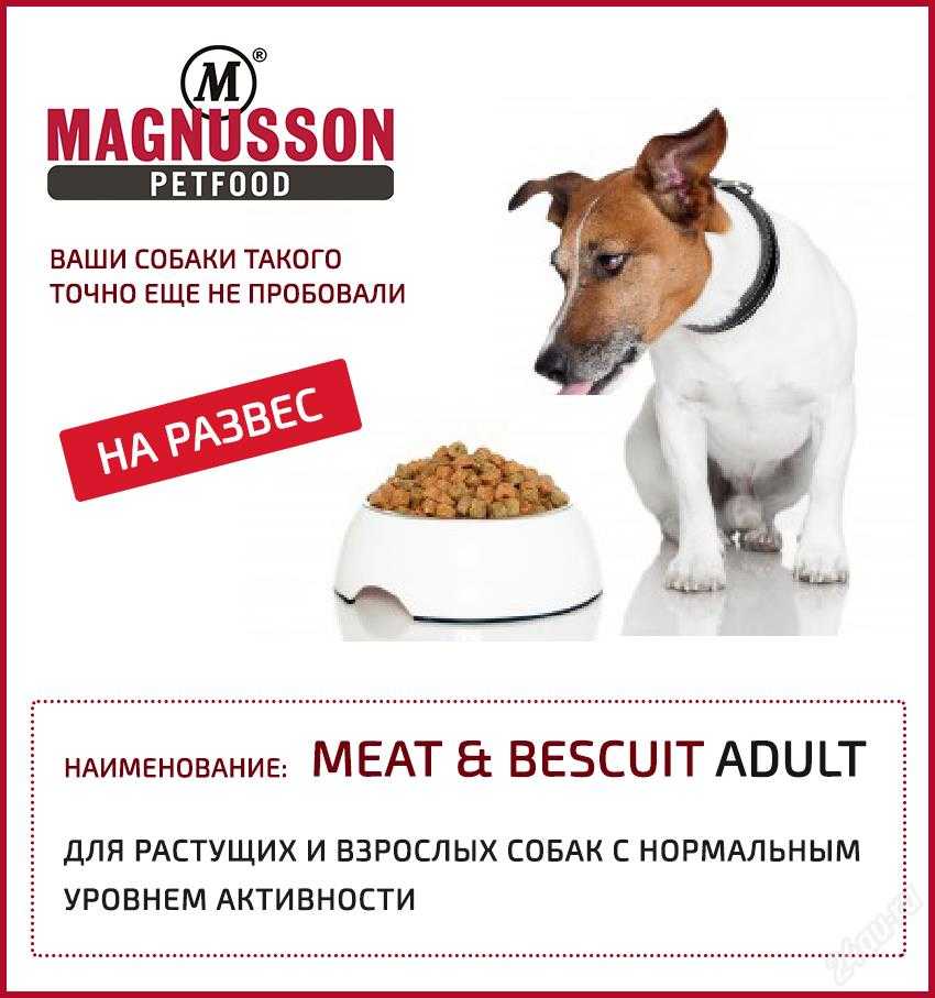 Корм для собак magnusson: отзывы и обзор состава