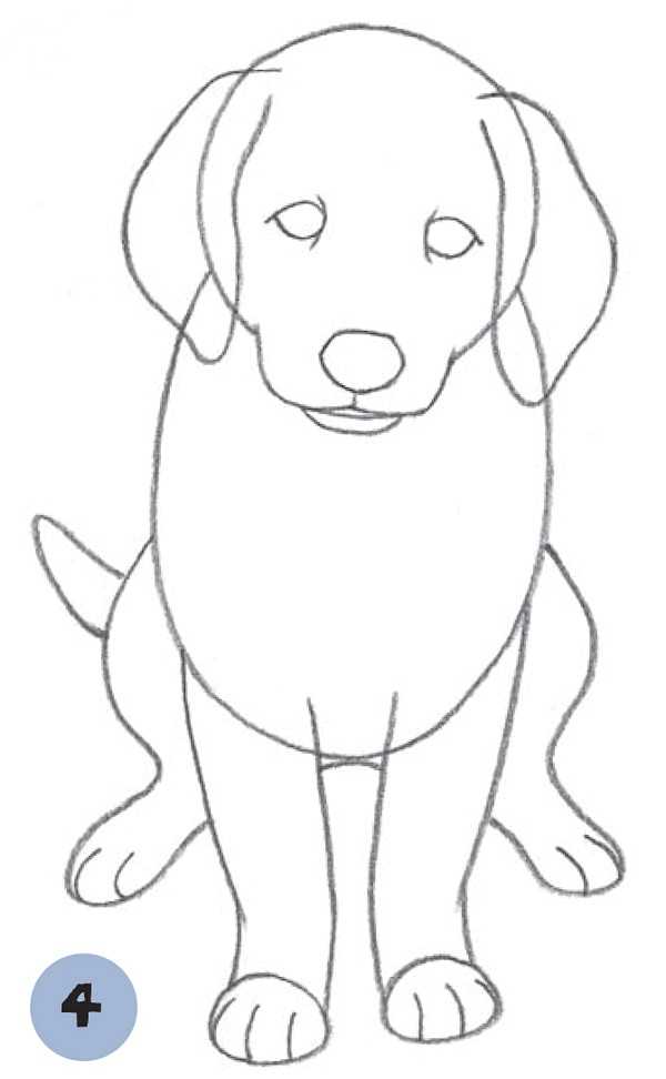 Как нарисовать собаку для детей карандашом поэтапно