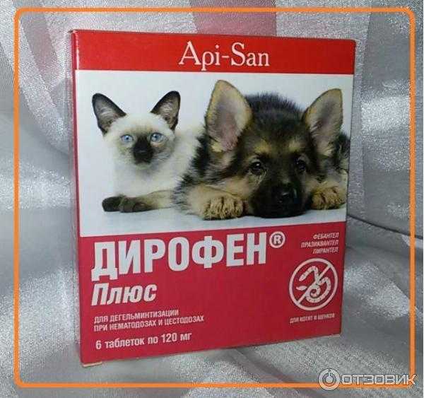 Дирофен таблетки для собак мелких. Дирофен для котят и щенков таб. Дирофен таблетки (для котят и щенков), 6*120 мг. Дирофен таблетки для котят и щенков. Дирофен плюс для котят.