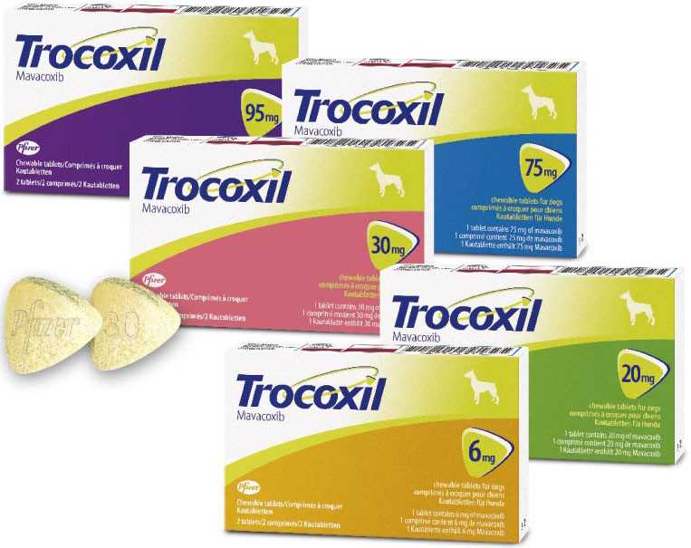 Обезболивающий препарат для собак Трококсил: правила применения, расчет дозировки, противопоказания и побочные эффекты, ориентировочная цена и отзывы