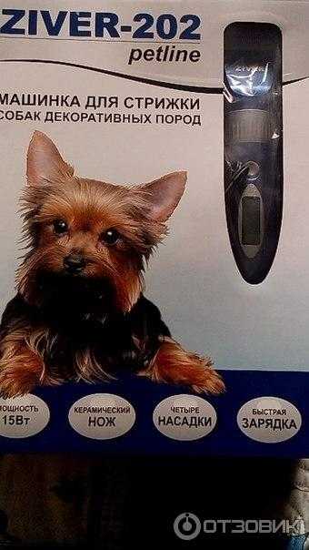 Ножницы для стрижки собак: обзор профессиональных филировочных ножниц и закругленных. какие ножницы лучше выбрать для груминга собак?