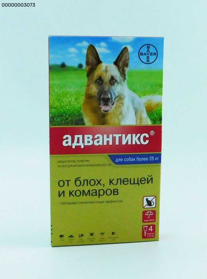 Адвантикс для собак – достоинства и недостатки препарата | вгкб № 2
