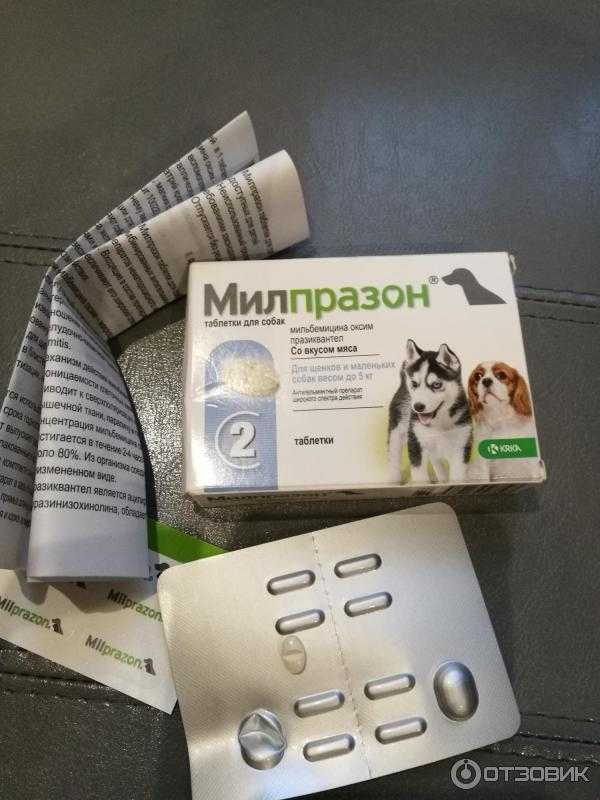 Милпразон для собак: инструкция по применению таблеток milprazon с дозировкой, отзывами ветеринаров и ценой. как давать препарат щенкам крупных и мелких пород?