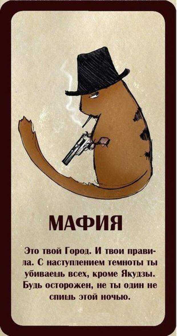 Клуб кошек pca - для любителей кошек в москве