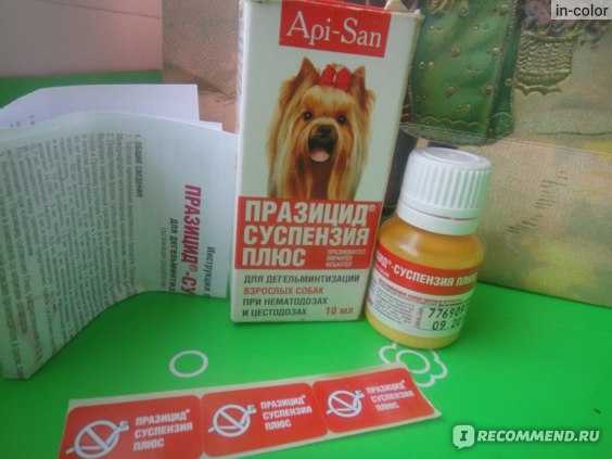 Празицид для собак – особенности антигельминтного препарата, дозировка, отзывы - kupipet.ru