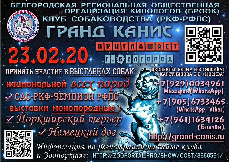 2018 всероссийская выставка собак всех пород ранга сас чф г. москва 2021
