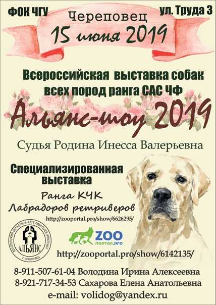 Выставка собак всех пород ранга сас г. москва