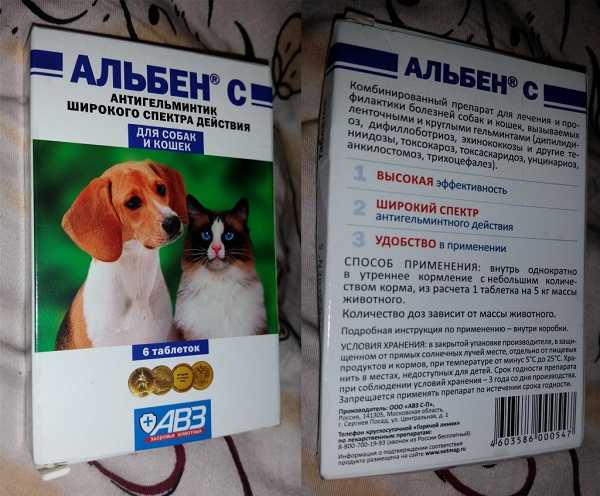 Альбен для собак: показания и инструкция по применению, отзывы, цена