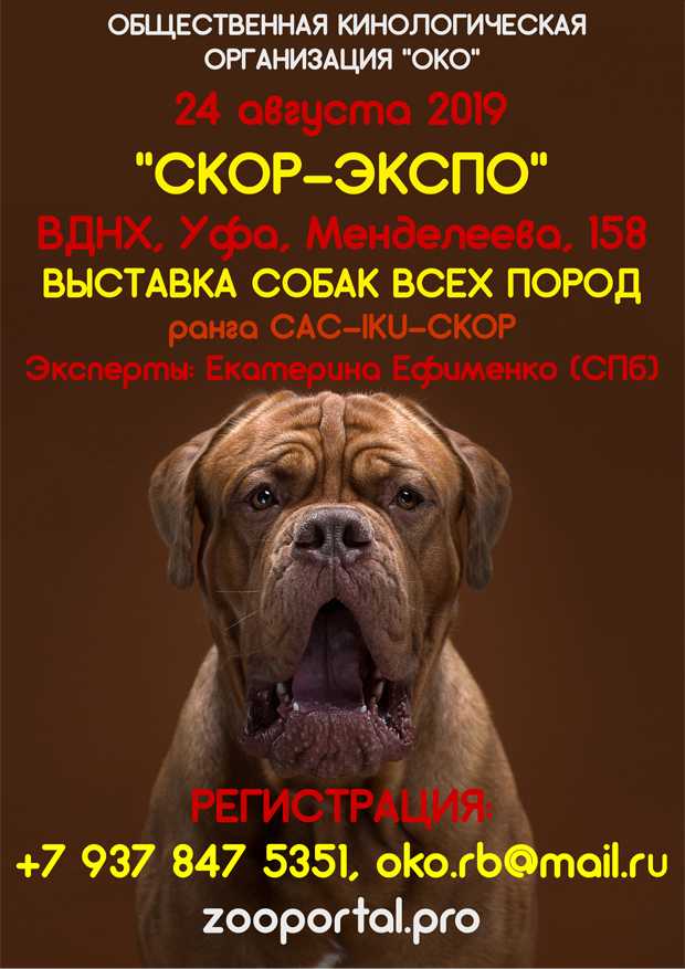 Выставка собак всех пород ранга сас г. москва