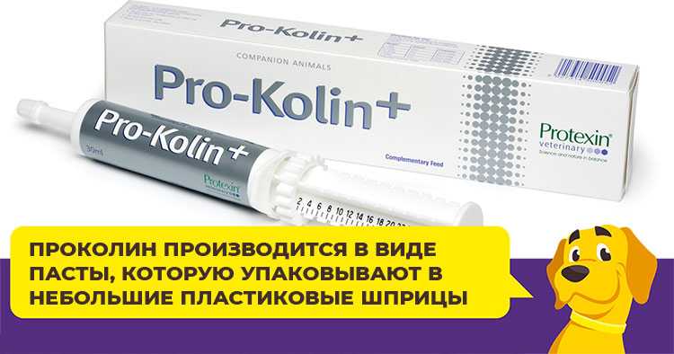 Прокалин. Pro Kolin для собак. Лекарство для собак Проколин. Проколин 15 мл. Проколин плюс для собак.
