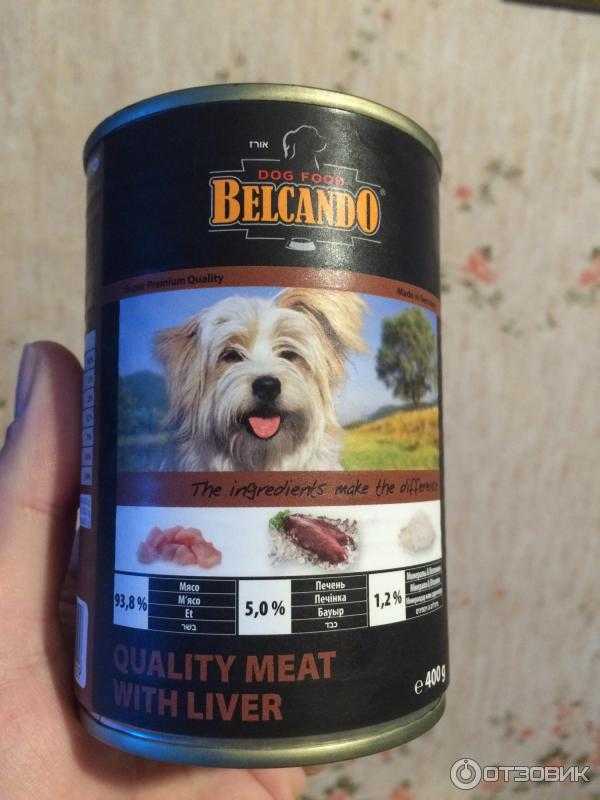 Обзор корма для собак belcando (белькандо)