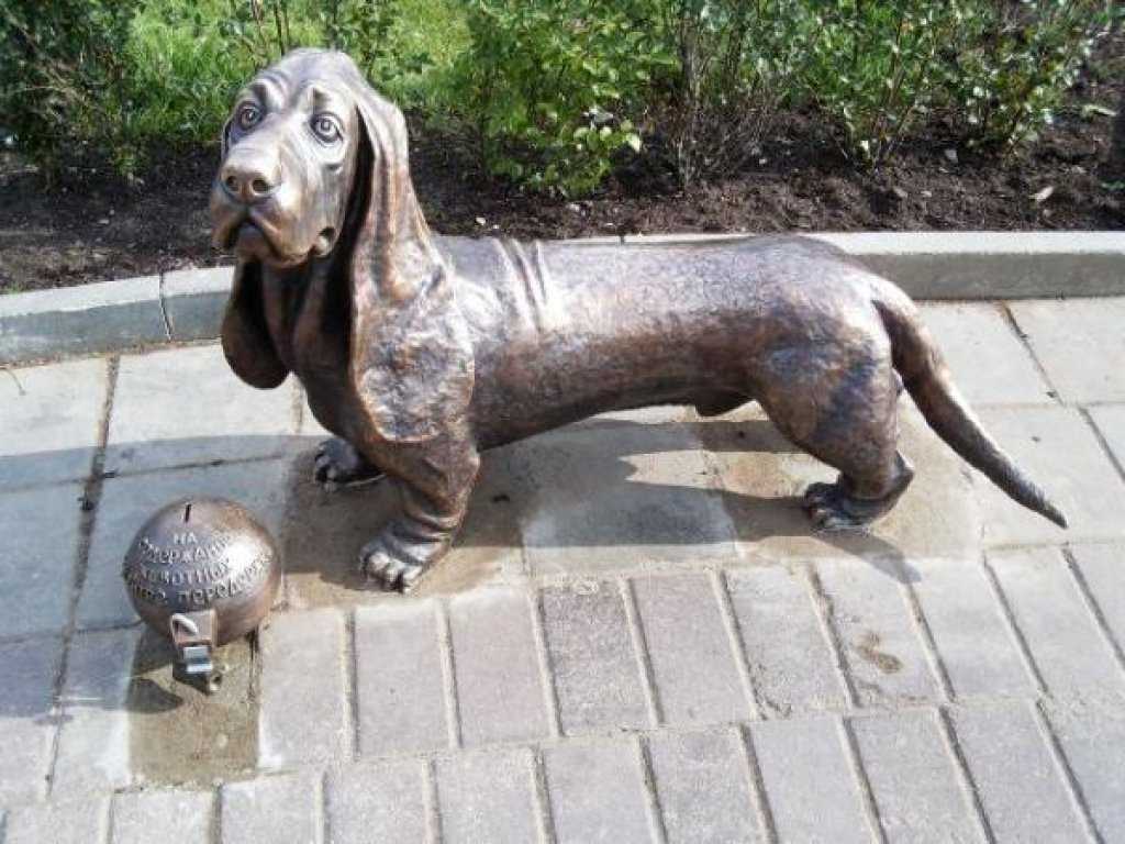Памятники собаке - самые известные в мире, в россии, в москве