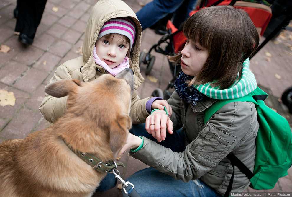 «всё началось с моей собаки — чаплина»: как я меняю отношение к беспородным собакам в россии — wonderzine