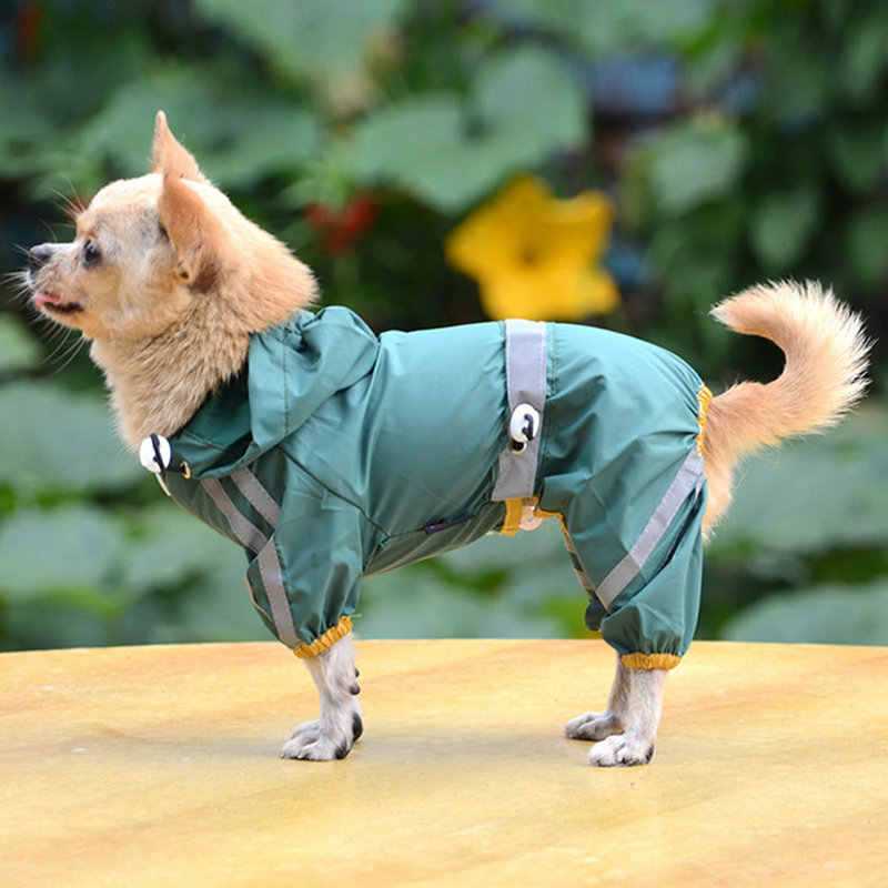 ᐉ одежда для собак: зачем нужна и как правильно подобрать - ➡ motildazoo.ru