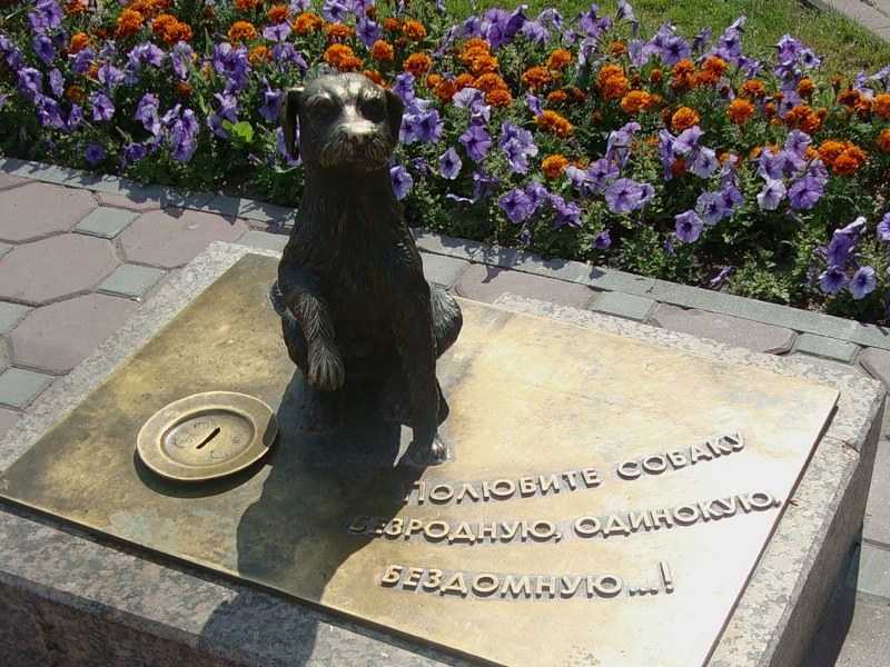 10 памятников собакам в россии | зоомир