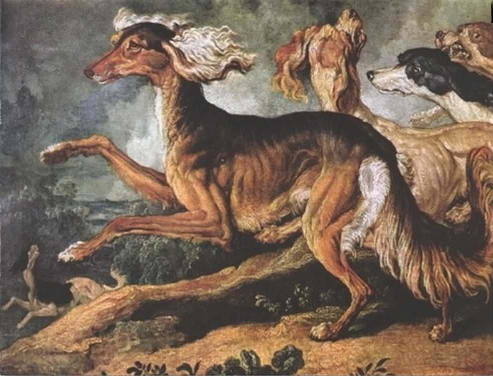 Самые древние породы собак в мире