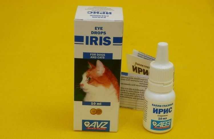 Капли ирис для кошек – здоровье глаз питомца