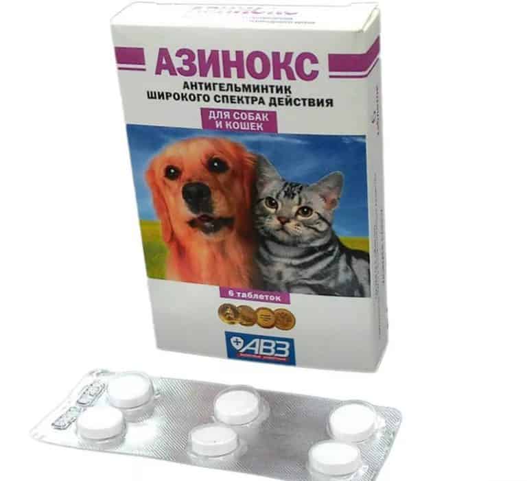 Азинокс плюс для собак: инструкция по применению, состав и действие, отзывы