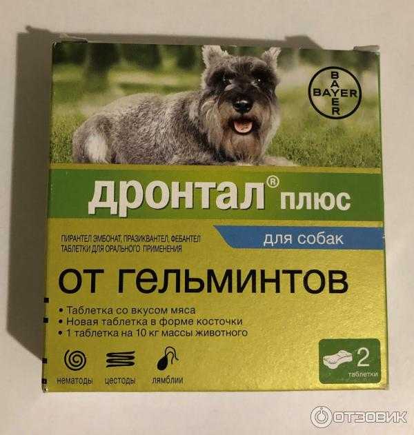 Таблетки от глистов для собак: какие лучше и как дать | petguru