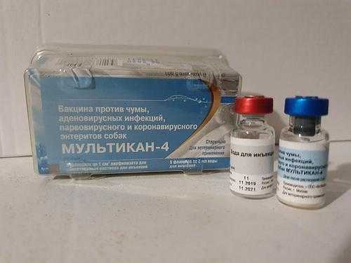 Вакцина каниген dha2ppi/l: инструкция по применению - вет-препараты