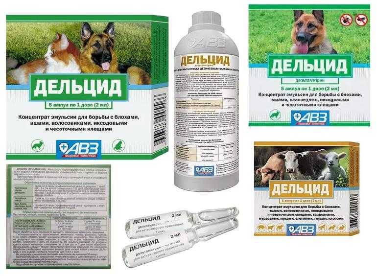 Дельцид для собак: инструкция по применению, меры предосторожности, ограничения