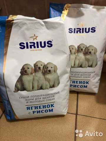 Sirius (сириус): обзор корма для кошек, состав, отзывы