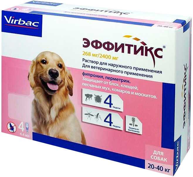 Эффитикс для собак: инструкция по применению, дозировка, ограничения и отзывы