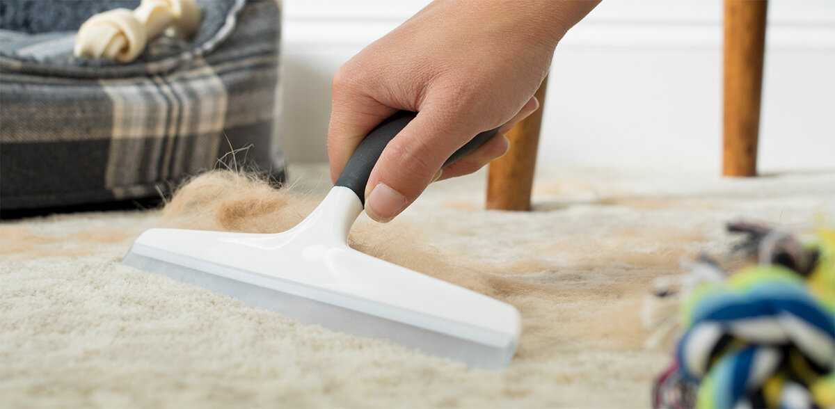Как избавиться от кошачьей и собачьей шерсти в квартире. как удалить шерсть с одежды основные способы борьбы с шерстью