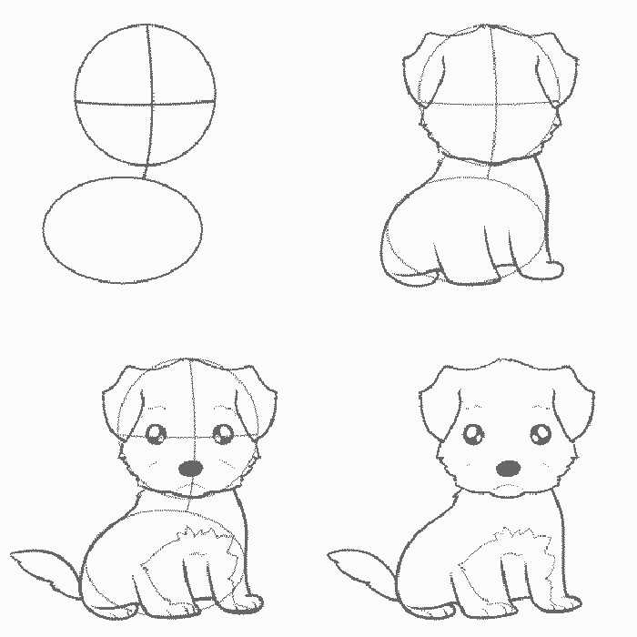 Как нарисовать собаку карандашом поэтапно для начинающих 🐕 легко и просто