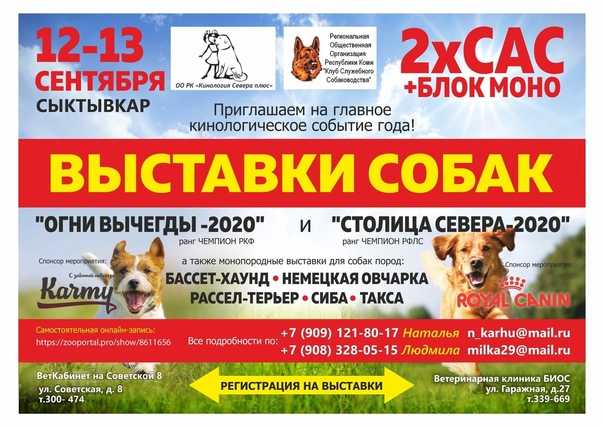 Zooпортал.pro :: 2021 всероссийская выставка собак всех пород ранга сас чф г. москва 2021