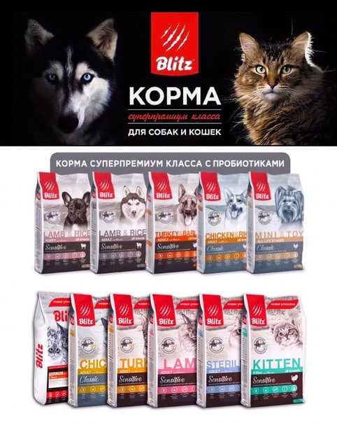 Корм для собак blitz: отзывы, разбор состава, цена - kotiko.ru