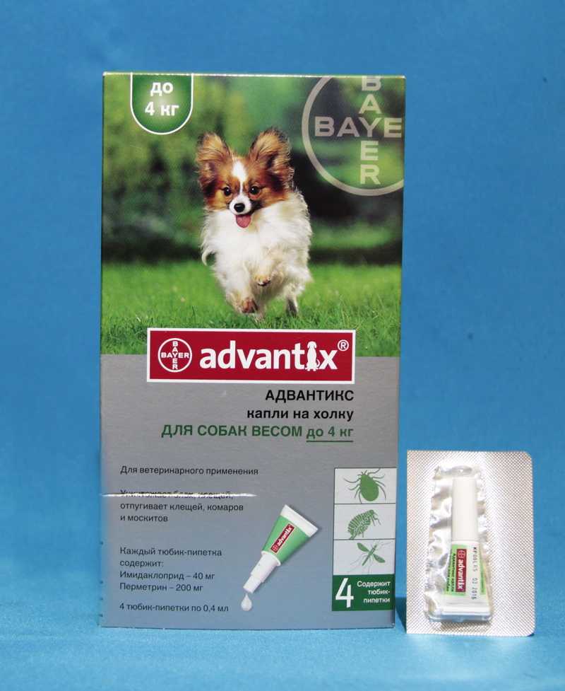 Адвантикс для собак – достоинства и недостатки препарата | вгкб № 2
