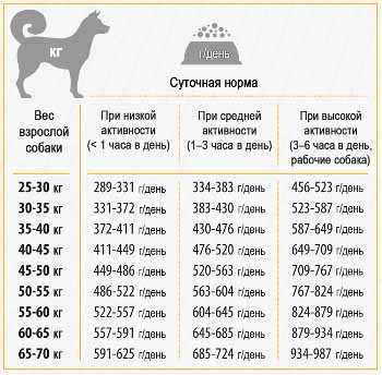 Нормы необходимого количества сухих кормов для собак в сутки: таблицы