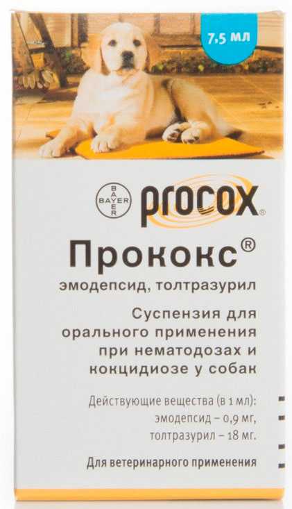Прококс для собак: инструкция и показания к применению, отзывы, цена