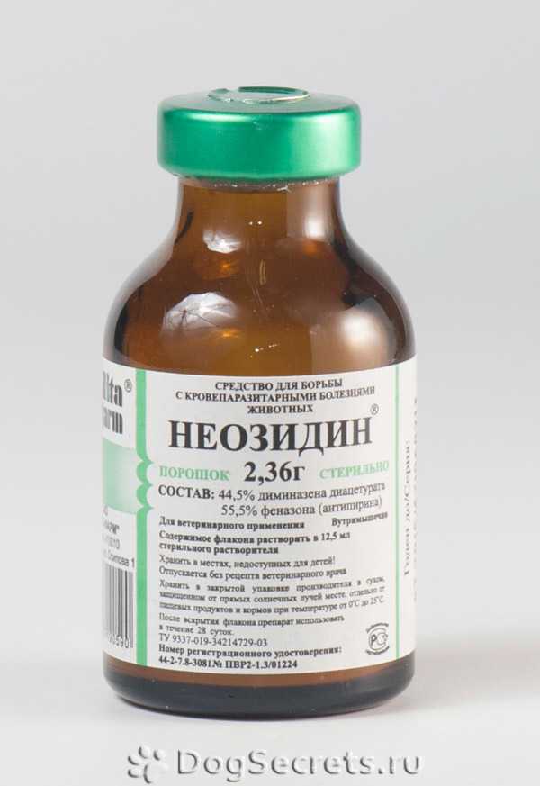 Неозидин: инструкция по применению препарата  (neosidini) для собак, лошадей, крс, овец и др. животных