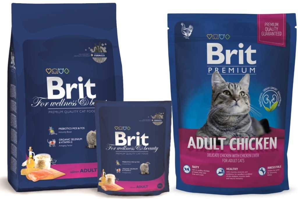 Brit premium корм для кошек: отзывы, где купить, состав