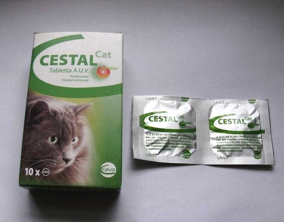 Цестал для кошек - инструкция по применению препарата