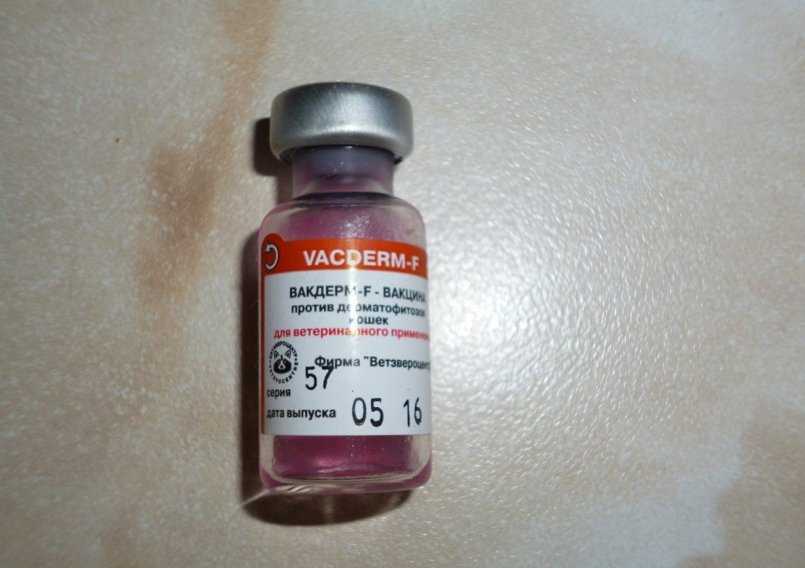 Вакдерм — инструкция по применению вакцины
